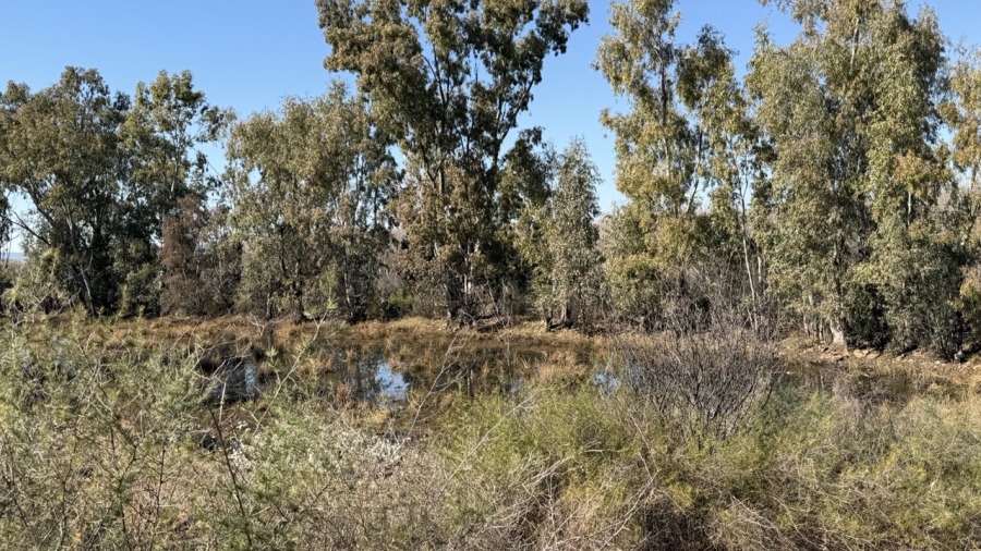 Commercial Property for Sale in Senekal Free State